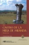 Guía Castro de la Mesa de Miranda. Chamartín, Avila