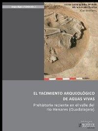 El yacimiento arqueológico de aguas vivas. Prehistoria reciente en el valle del río Henares