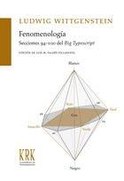 Fenomenología. Secciones 94-100 del Big Typescript. 