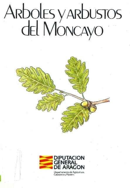 Árboles y arbustos del Moncayo