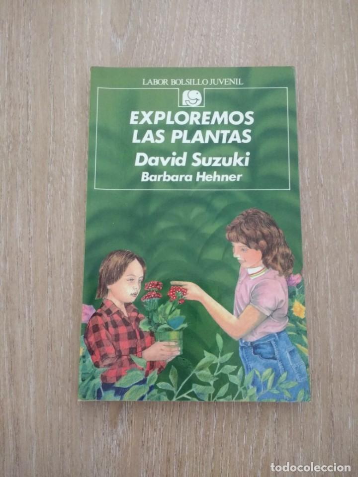 Exploremos las plantas. 