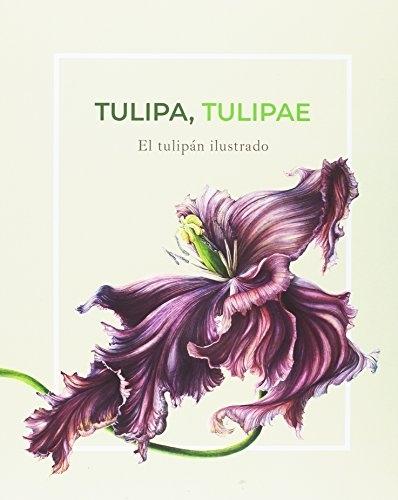 Tulipa tulipae "El tulipán ilustrado". 
