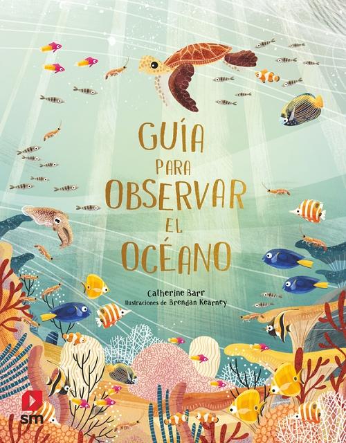 Guía para observar el océano. 