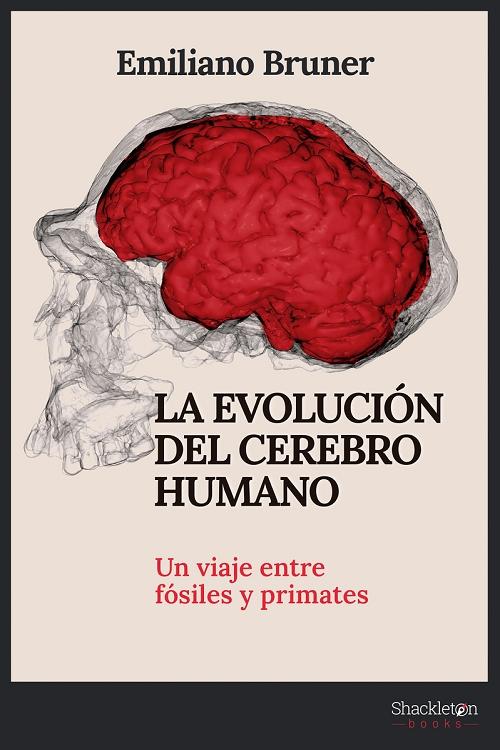La evolución del cerebro humano "Un viaje entre fósiles y primates". 