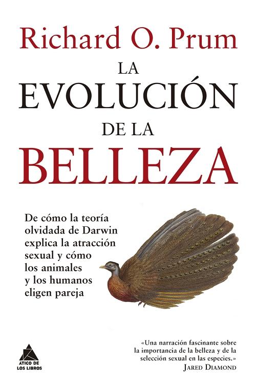 La evolución de la belleza "De cómo la teoría olvidada de Darwin explica la atracción sexual y cómo los animales y los humanos...". 