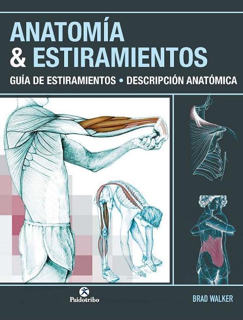 Anatomía & Estiramientos "Guía de estiramientos - Descripción anatómica". 