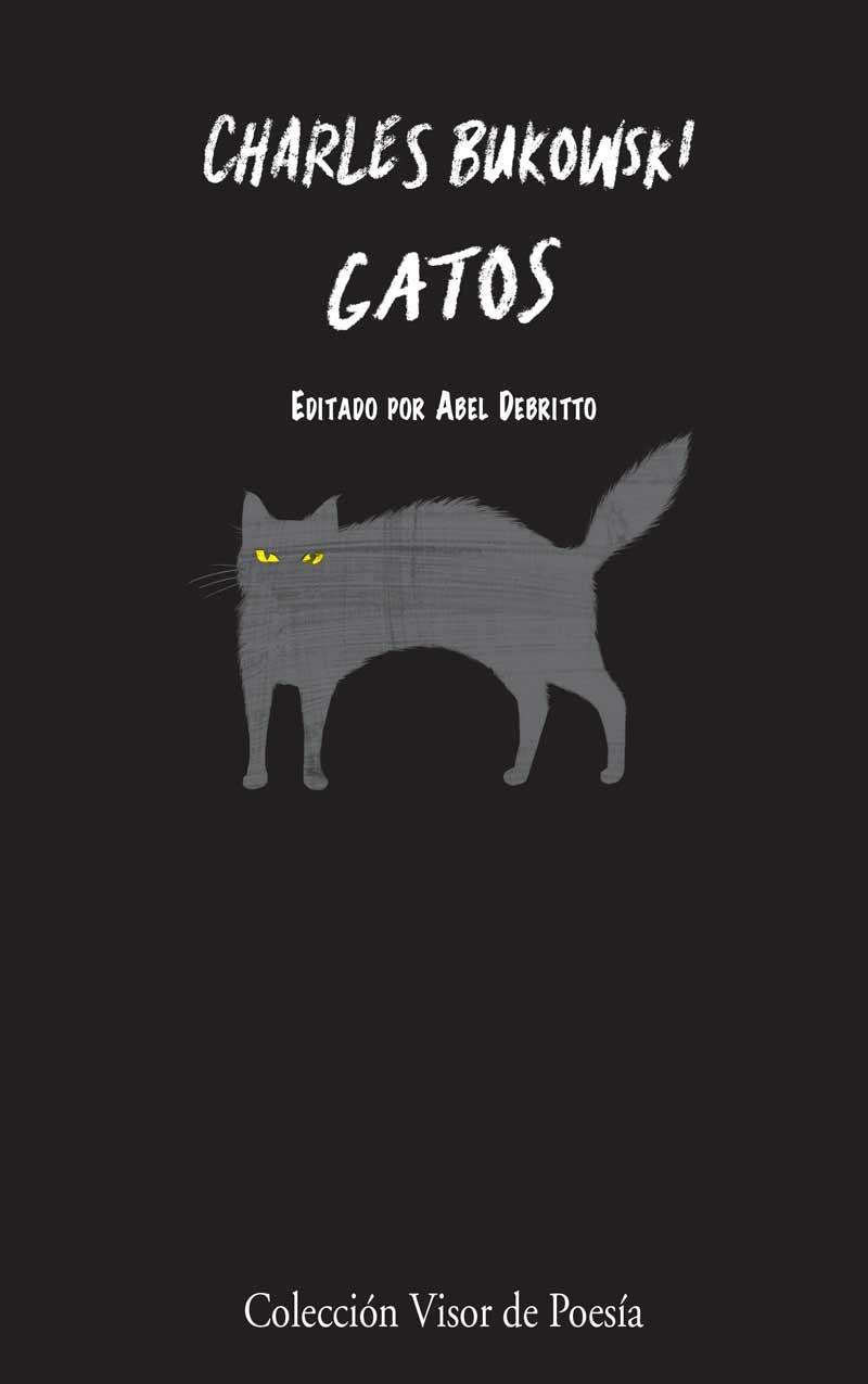 Gatos. 