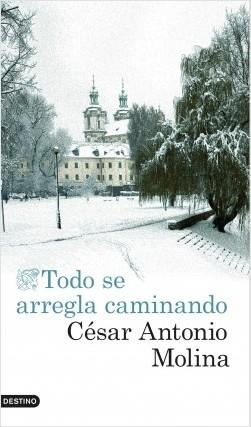 Todo se arregla caminando "Memorias de ficción"