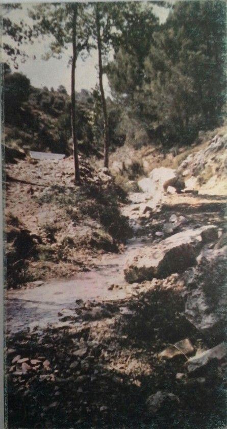 Guía Ecológica Del Río Aguas Blancas. 