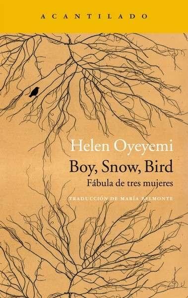 Boy, Snow, Bird. 