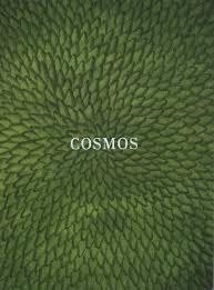 Cosmos. 