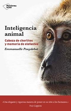 Inteligencia animal. Cabeza de chorlitos y memoria de elefantes. 