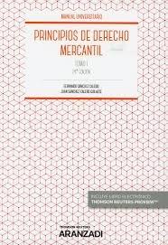 Principios de Derecho Mercantil, Tomo I.