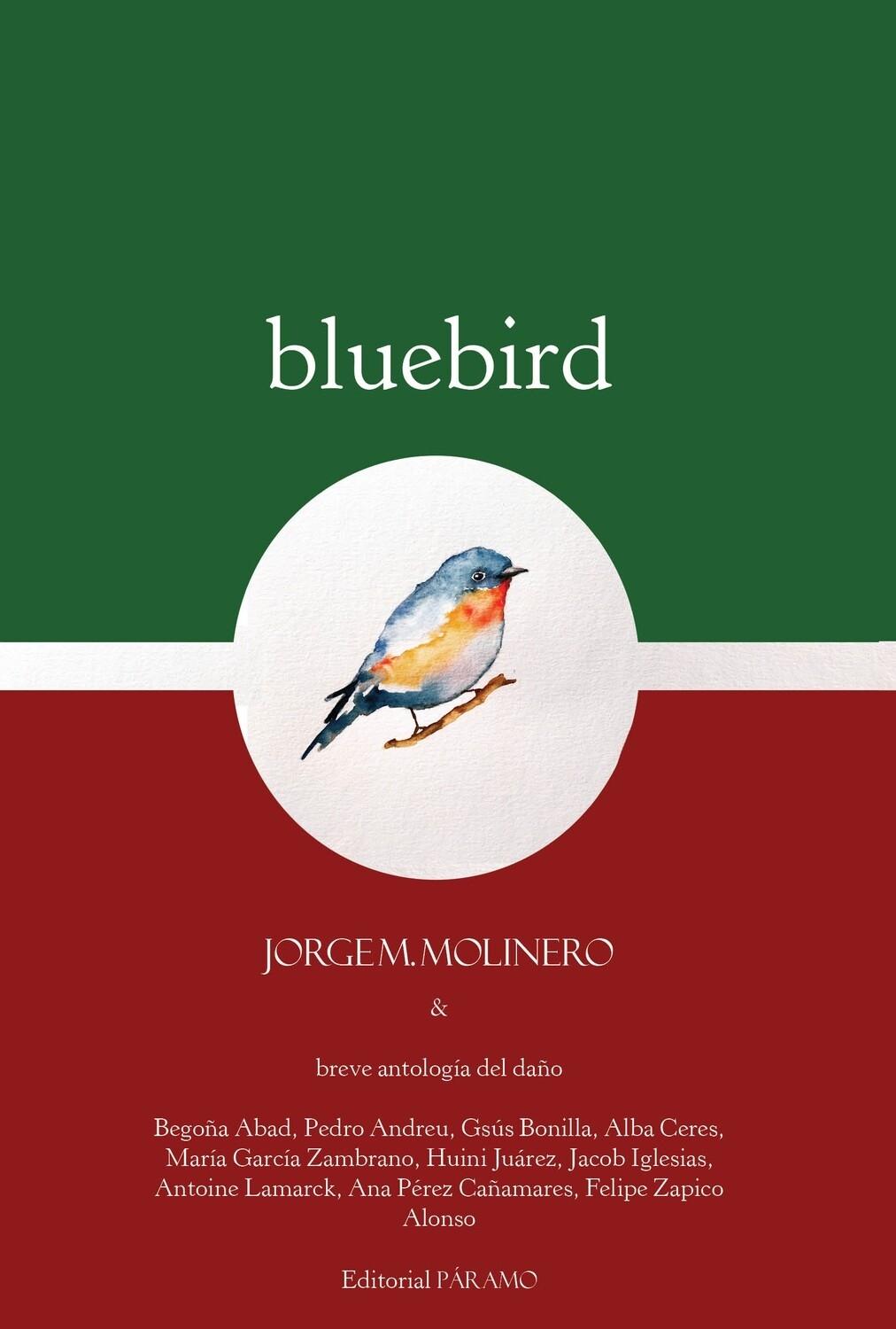 Bluebird "Breve antología del daño". 