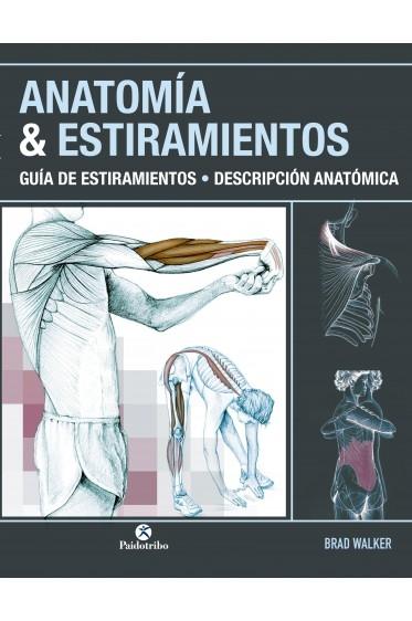 Anatomía & Estiramientos "Guía de estiramientos - Descripción anatómica".