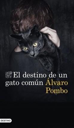 El destino de un gato común. 