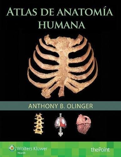 Atlas de anatomía humana. 