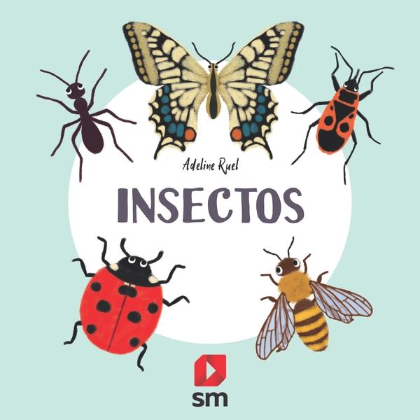 Insectos "(Naturaleza)". 