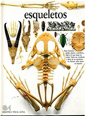 Esqueletos "(Biblioteca Visual Altea)". 