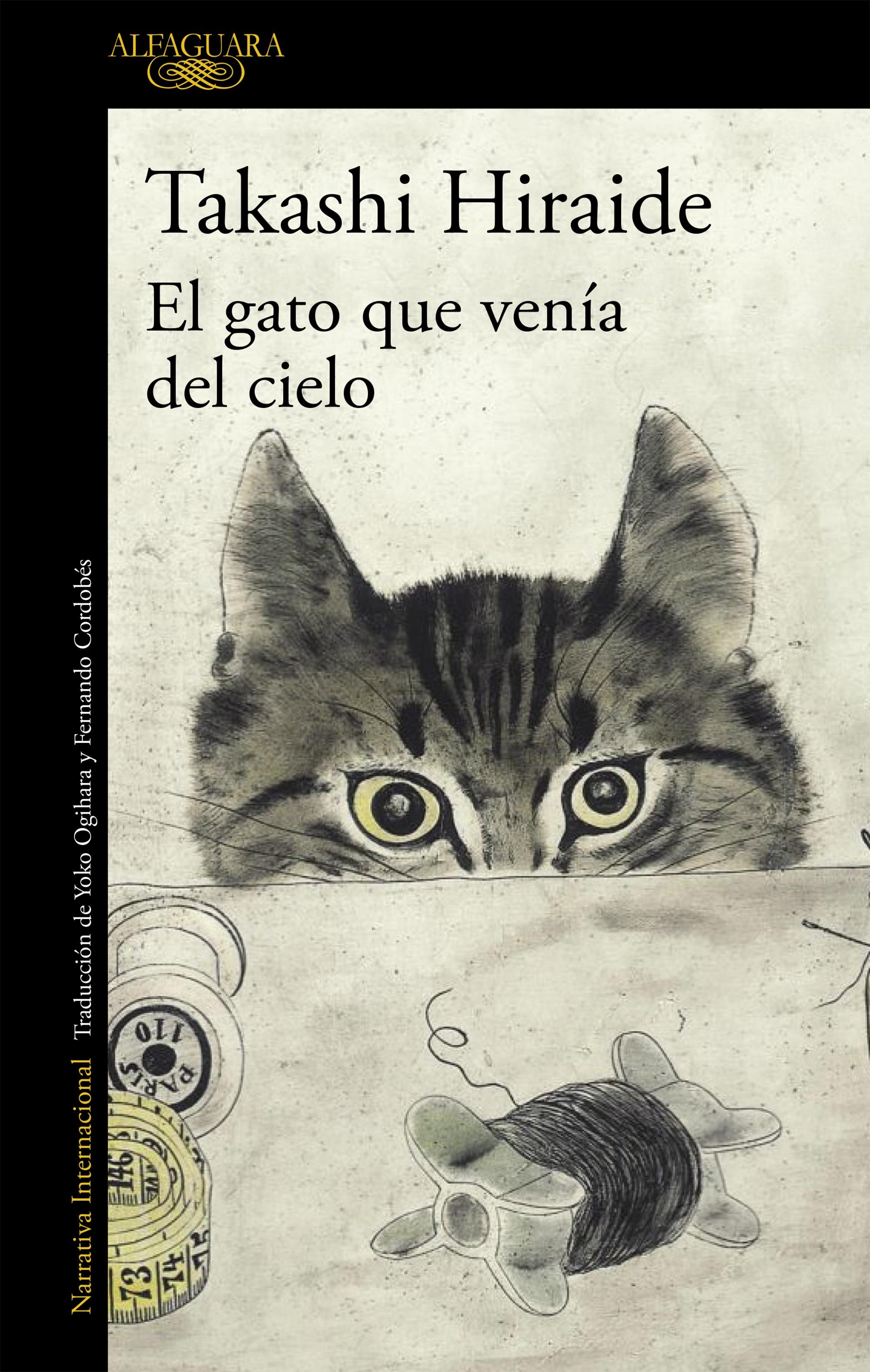 El gato que venia del cielo