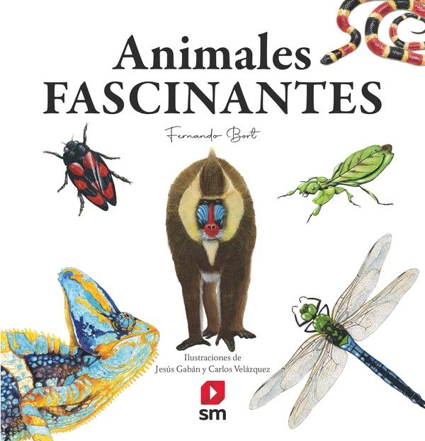 Animales fascinantes. 