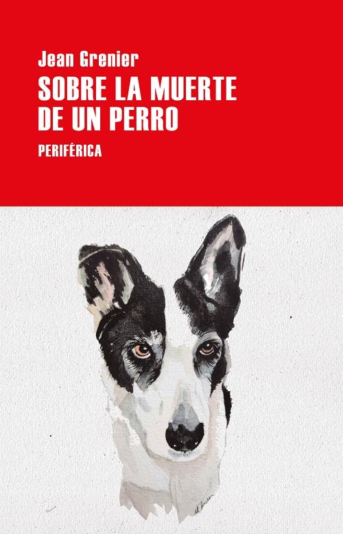 Sobre la muerte de un perro. 