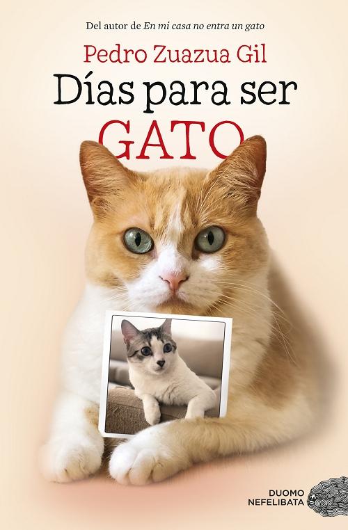 Días para ser gato. 