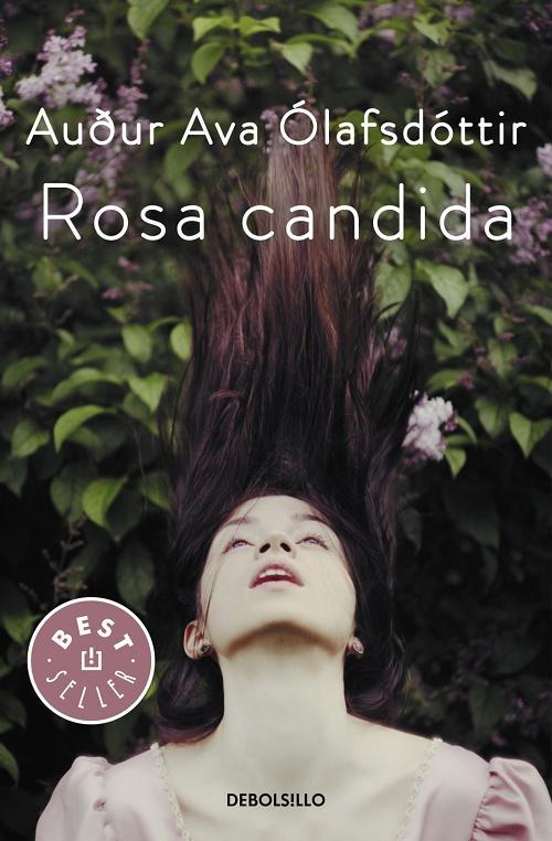 Rosa candida. 