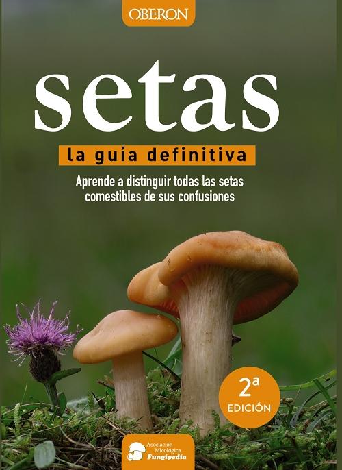 Setas "La guía definitiva"