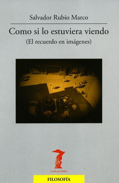 Como si lo estuviera viendo "(El recuerdo en imágenes)"