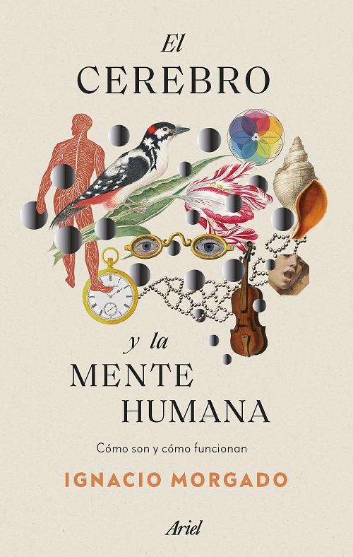 El cerebro y la mente humana. 