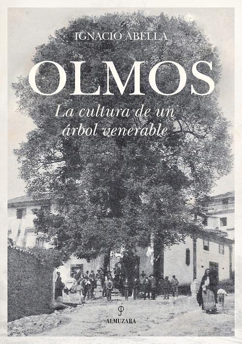 Olmos "La cultura de un árbol venerable". 