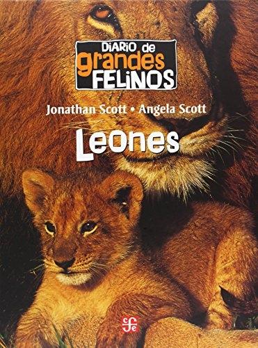 Diario de grandes felinos. Leones.