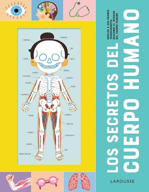 Los secretos del cuerpo humano. 