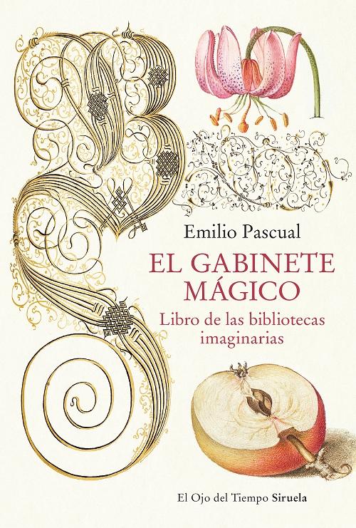 El gabinete mágico "Libro de las bibliotecas imaginarias"