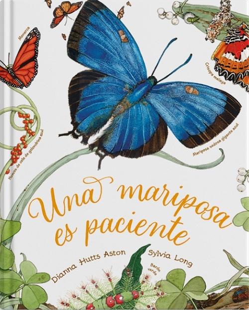 Una mariposa es paciente