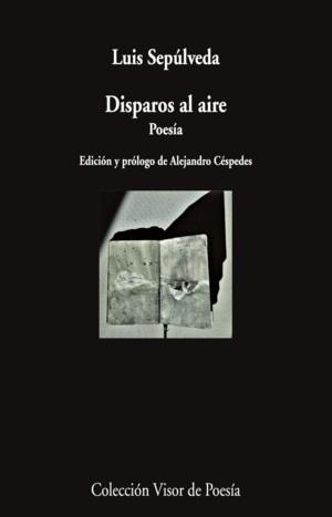 Disparos al aire "Poesía"