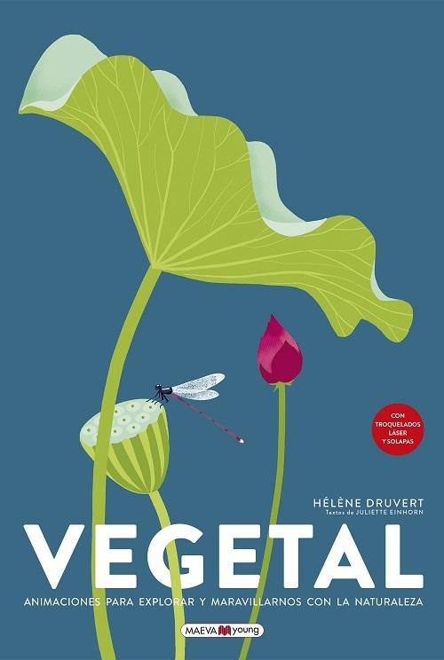 Vegetal "Animaciones para explorar y maravillarnos con la naturaleza".
