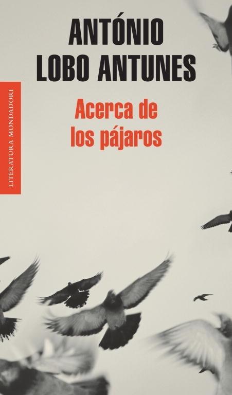 Acerca de los pájaros. 