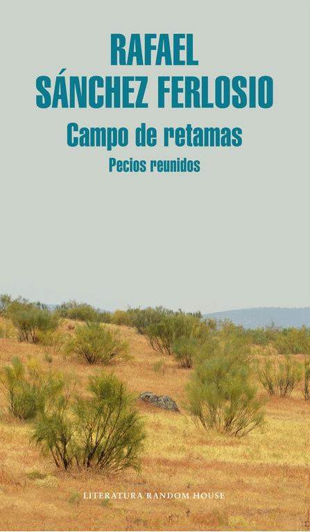 Campo de retamas "Pecios reunidos". 