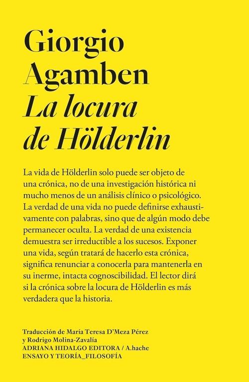 La locura de Hölderlin. 