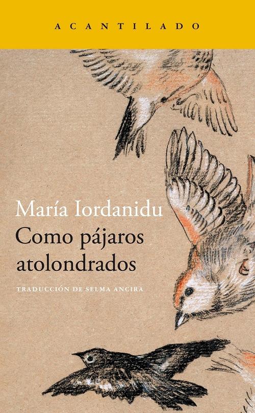 Como pájaros atolondrados.