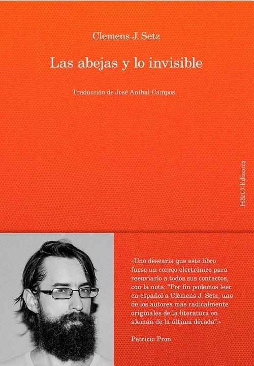 Las abejas y lo invisible