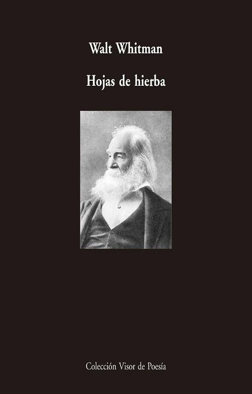 Hojas de hierba. 