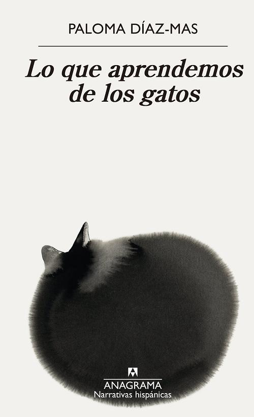 Lo que aprendemos de los gatos. 