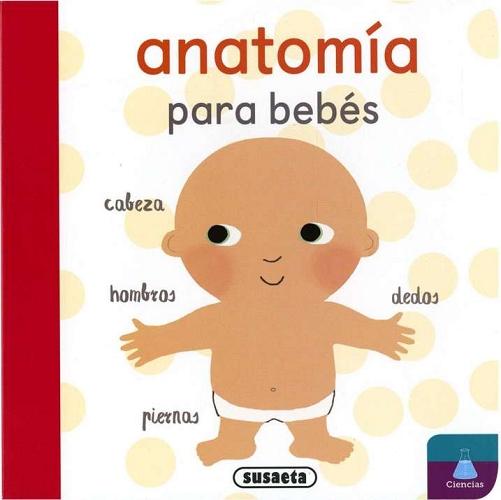 Anatomía para bebés. 