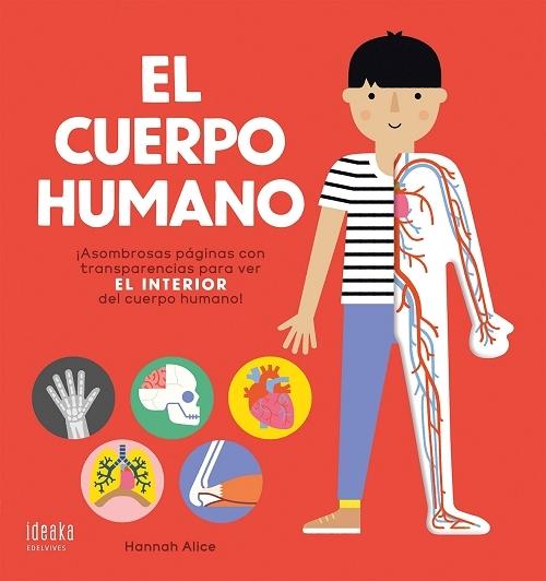 El cuerpo humano "¡Asombrosas páginas con transparencias para ver el interior del cuerpo humano!".