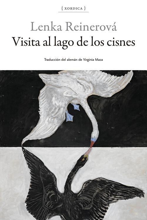 Visita al lago de los cisnes. 