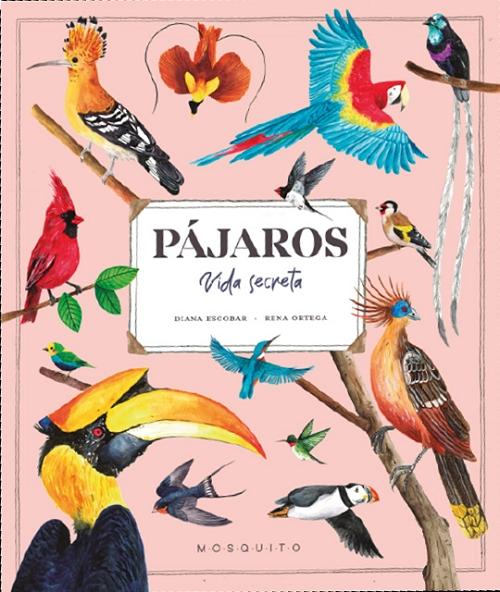 Pájaros "Vida secreta"