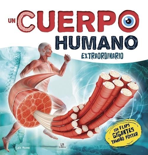 Un cuerpo humano extraordinario "(Con Flaps Gigantes)"